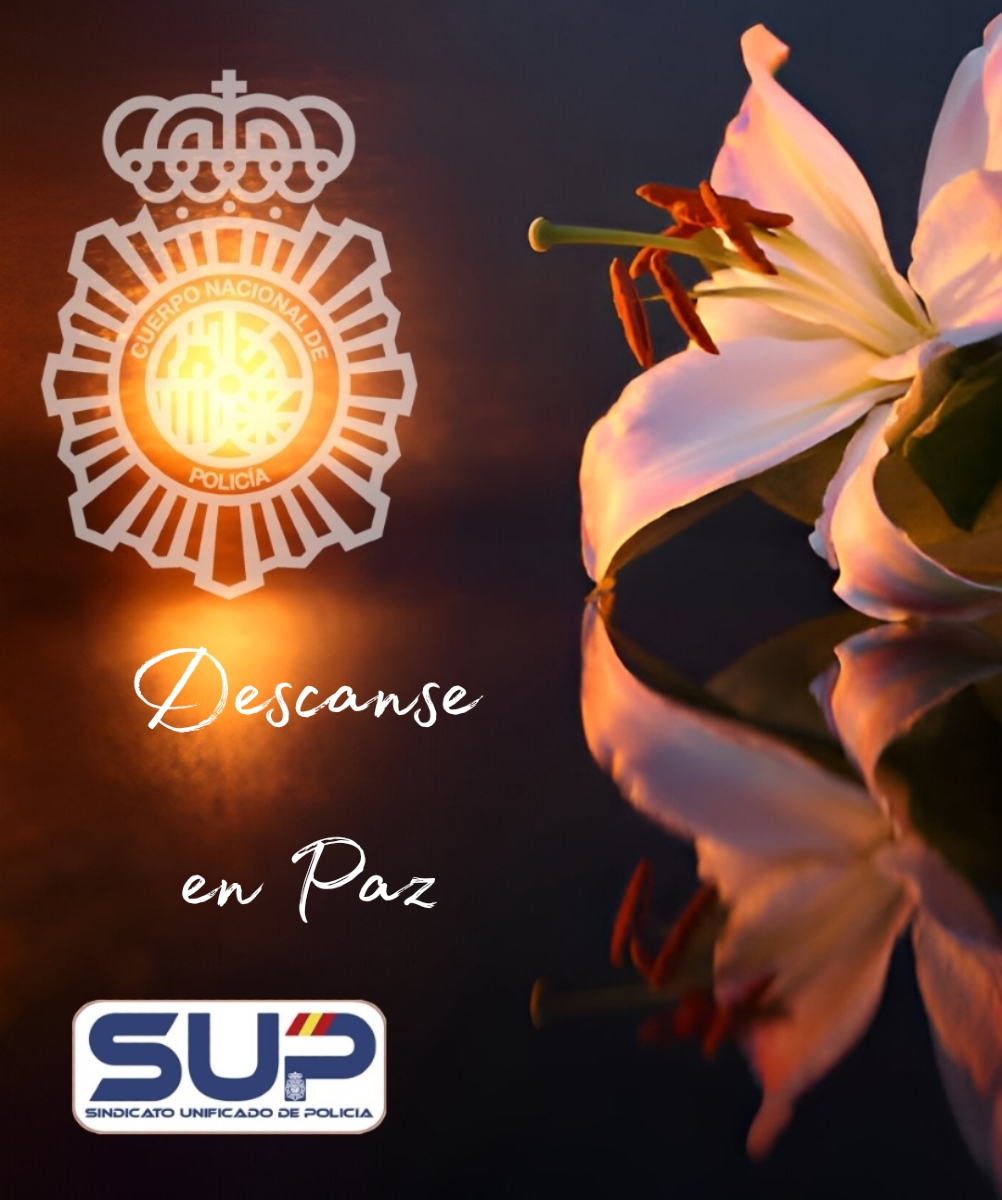 🖤 Lamentamos profundamente el fallecimiento de nuestra compañera en Madrid.
La #PolicíaNacional está de luto por una pérdida irreparable. Nos ha dejado una gran profesional, pero sobre todo, una gran persona.
Desde el SUP enviamos nuestro más sentido #Pésame a familiares, amigos