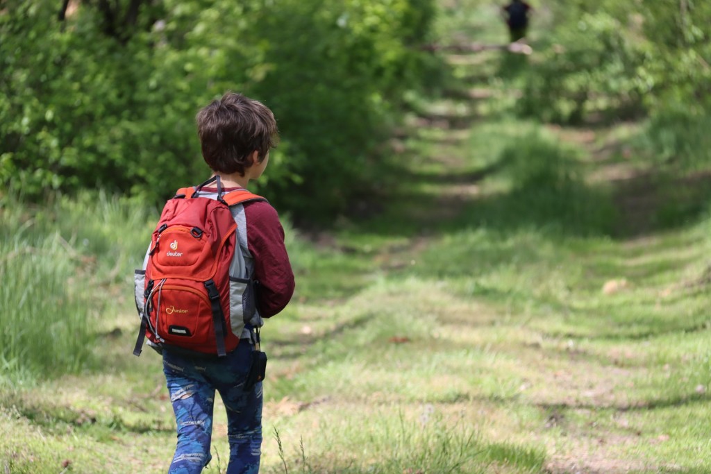 universitatURV's tweet image. 🆕Els probiòtics podrien ajudar a reduir la hiperactivitat i impulsivitat en infants amb autisme o TDAH. Un assaig clínic liderat per la #URV observa millores en la impulsivitat i la qualitat de vida gràcies a la modulació de la microbiota intestinal.
👉diaridigital.urv.cat/probiotics-red…