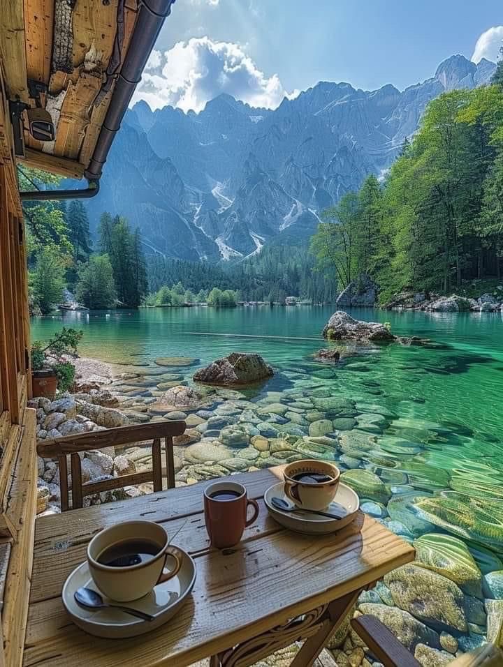describe this in ONE word
