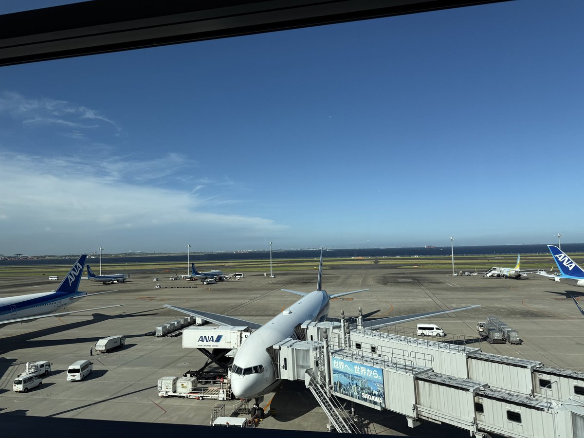 c_hidaka's tweet image. どったんばったんで何も食べずに羽田に着いたので、1人ステーキとハイボールで豪遊。ちょっとビジネス決めて、実家でお墓参りしてまいります。
#三郷市議会
#NHK党
#日高ちほ
#三郷にもっと安心とワクワクを