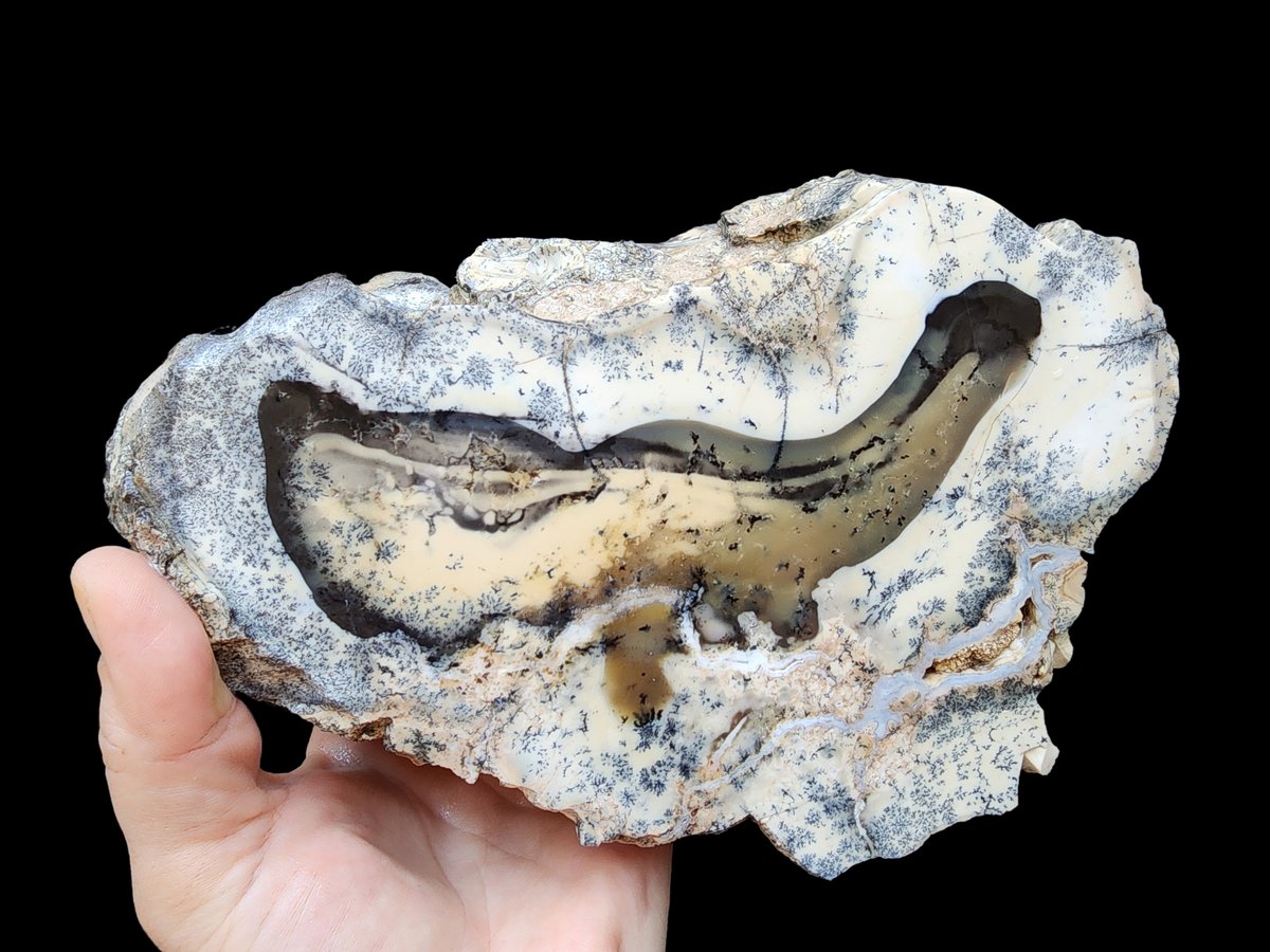 SrlGemstone's tweet photo. Dendritic Opal & Agate
#Collectible #Opal #opale #lapidary #agate #largeopal #decorative #Decoration #rockhounding #natural #NatureLovers #geology https://t.co/Bav4th2MgS