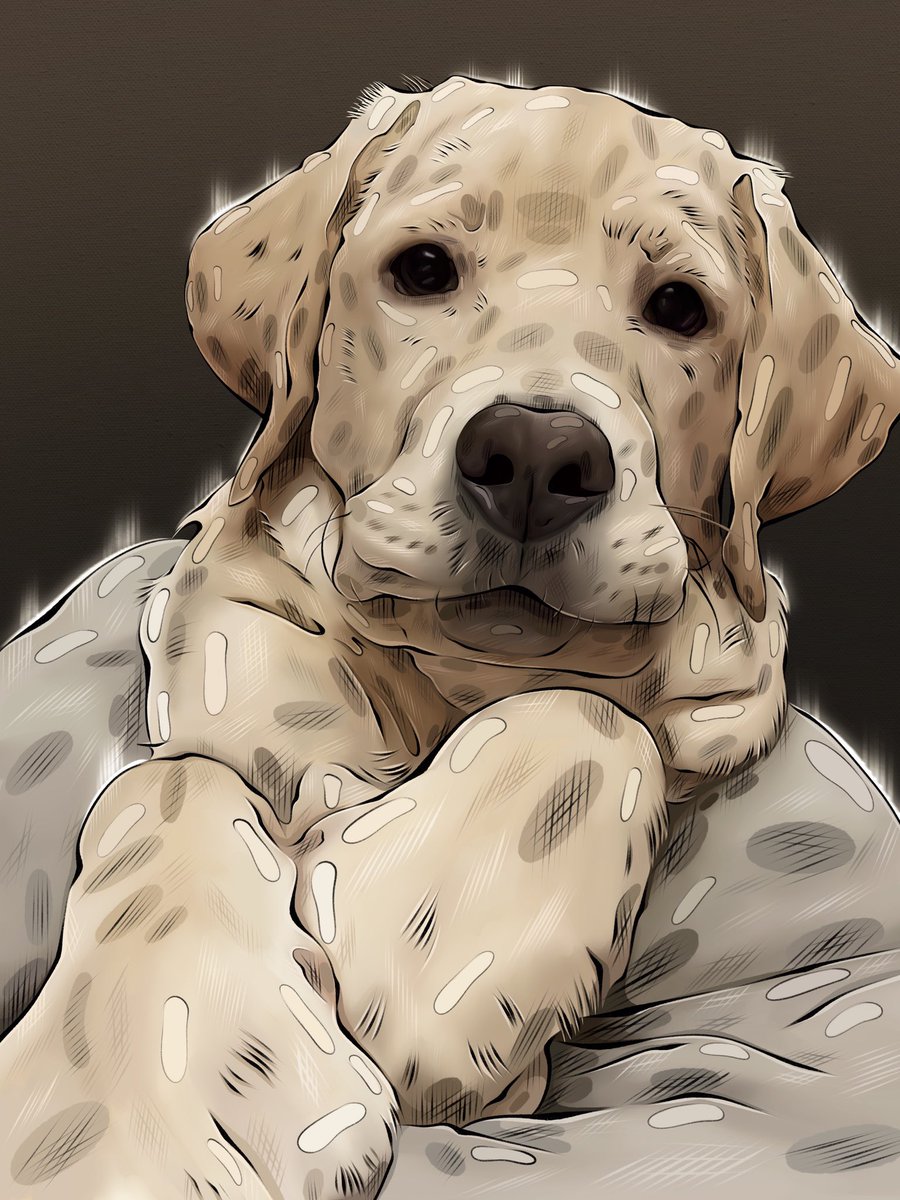 an_artistart's tweet image. GM fam🖤
Now I spend most of my time creating portraits. It brings me a special pleasure.
🚨If you want to get a unique portrait in my style - I am waiting for you in DM. The price is very very attractive.
* I also draw your furry friends on request🐶