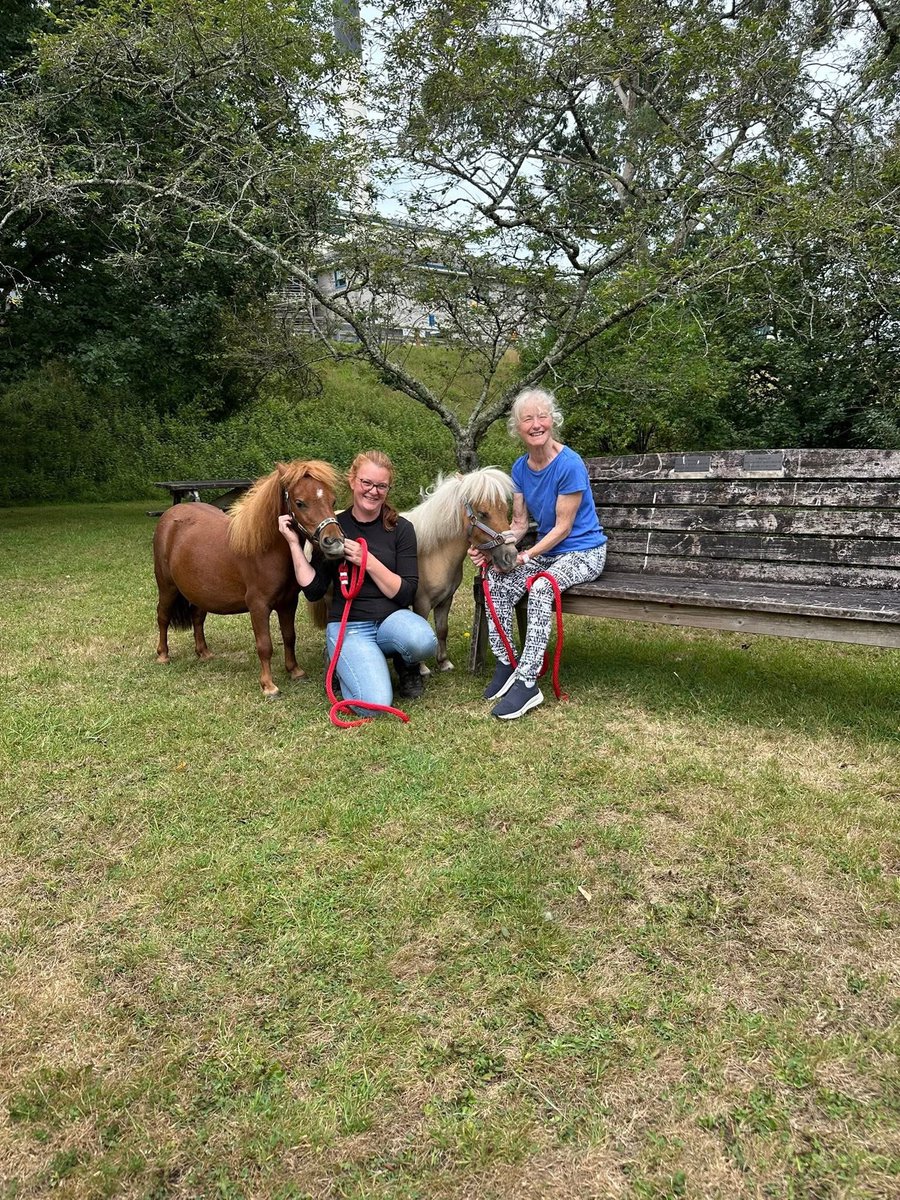 TantamKate's tweet image. I love my job… 

“Kate, can we have a patient who needs to see a pony….”

Right - let’s do this 💪❤️🐴 but I am not in… so this is all you #Rehablegend #MDT 

#Rehab is about helping people to see their future - amazing work today by #TeamErme and #NeuroRehab @UHP_NHS