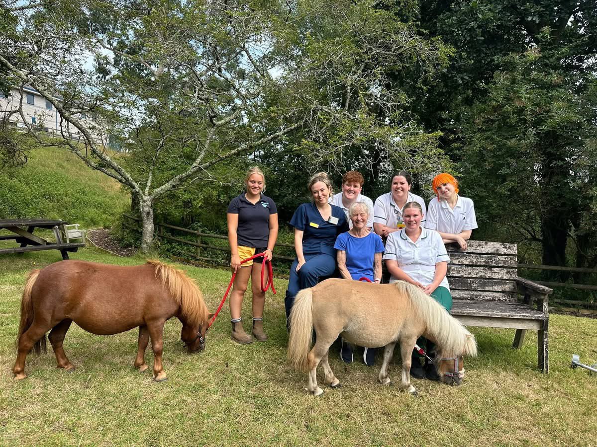 TantamKate's tweet image. I love my job… 

“Kate, can we have a patient who needs to see a pony….”

Right - let’s do this 💪❤️🐴 but I am not in… so this is all you #Rehablegend #MDT 

#Rehab is about helping people to see their future - amazing work today by #TeamErme and #NeuroRehab @UHP_NHS