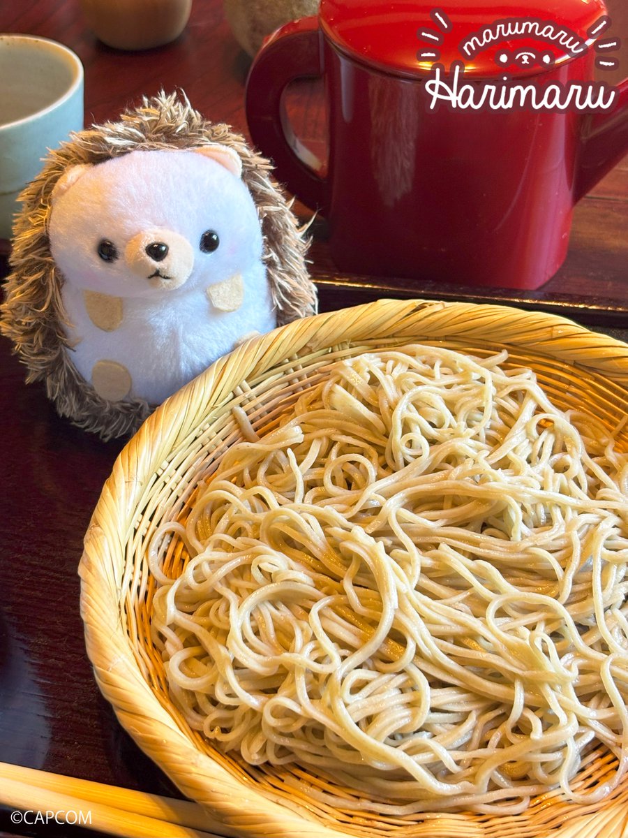 ooHARIMARU's tweet image. あそびつかれたので、
おいしいおそばで きゅうけいです✨

＃はりまる🦔