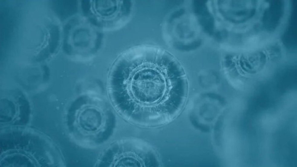 Redeye provides an update on NextCell following the company’s Q3 report, which came in largely in line with expectations.

$NXTCL

redeye.se/research/11190…
