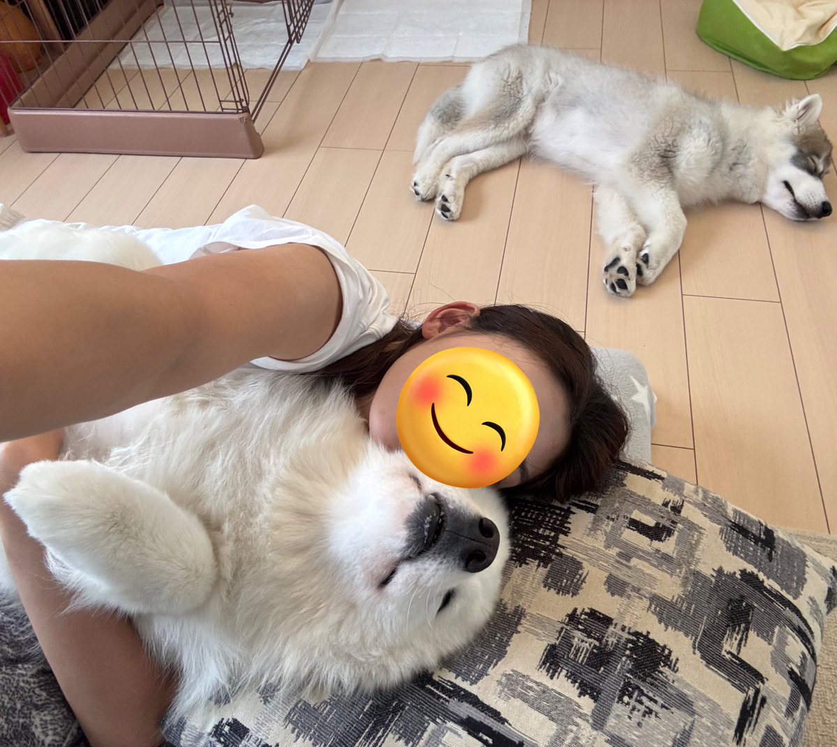 snowski1008's tweet image. 幸せなお昼寝
さて金曜日!!
おでかけするか〜い🌟🌟