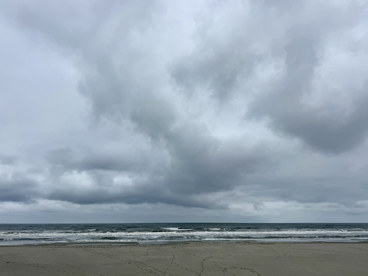 richardtkiewiet's tweet image. Nog een paar laatste losse flodders …..
