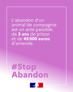 #StopAbandon | L'abandon est considéré comme un acte de maltraitance, puni par la loi, qui concerne chaque année des milliers d'animaux de compagnie 🐾 

👉 Protéger les animaux de compagnie, une priorité l’été et tout au long de l’année : agriculture.gouv.fr/stopabandon-pr…