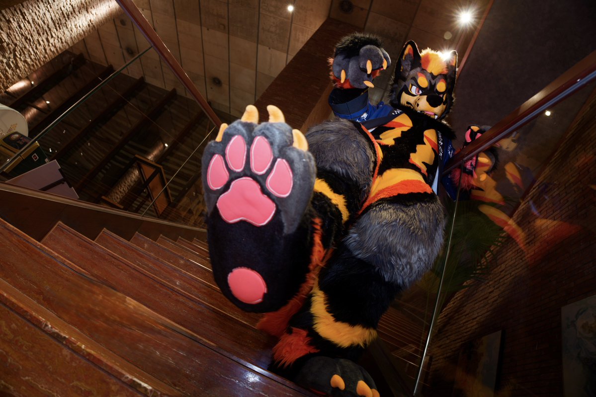 你知道该怎么做

You know what to do 

#FursuitFriday