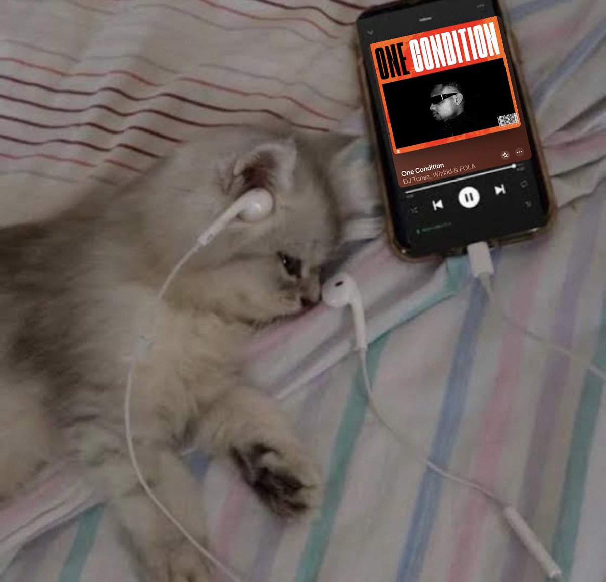 WizkidInspector's tweet photo. This is music 🎧🥶 https://t.co/Cxvs2GAoC1