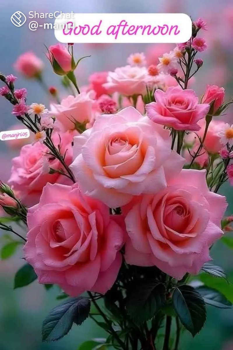 ♏⛎♑⛎♈ (@m_a_n_v786) on Twitter photo <a href="/Anjanaa1111/">अंजना ✨✍️❤️♥️</a> <a href="/_avreet/">Reet Kaur 💕</a> <a href="/Divinebeining11/">Atiras_Rooh....✨🖤🦚🕊️</a> <a href="/Queensugandha/">Sugandha Sharma</a> <a href="/Harshit83602820/">𝖍𝖆𝖗𝖘𝖍𝖎</a> <a href="/Annujau/">Anil Jain</a> <a href="/DreamGirlSavi/">Savita 🪽</a> <a href="/Gagan393949974/">गगन कौर</a> <a href="/Gul363753611/">Gul3637536 گُل</a> <a href="/Komal__bhatiya/">🐍🐍ज़हरीली नागिन</a> <a href="/KumariPrat383/">༺ दिव्या ༻</a> <a href="/m_l_bubna/">मोहन लाल बूबना 🇮🇳(मोदी का परिवार)</a> <a href="/prem103103/">प्रेम</a> <a href="/v786_m/">Rachit Sharma ❣️</a> 🚩🚩जय माता दी🚩🚩
🙏🏻अंजना जी 🙏🏻
🌈🌈शुभ दोपहर🌈🌈 <a href="/Anjanaa1111/">अंजना ✨✍️❤️♥️</a> <a href="/_avreet/">Reet Kaur 💕</a> <a href="/Divinebeining11/">Atiras_Rooh....✨🖤🦚🕊️</a> <a href="/Queensugandha/">Sugandha Sharma</a> <a href="/Harshit83602820/">𝖍𝖆𝖗𝖘𝖍𝖎</a> <a href="/Annujau/">Anil Jain</a> <a href="/DreamGirlSavi/">Savita 🪽</a> <a href="/Gagan393949974/">गगन कौर</a> <a href="/Gul363753611/">Gul3637536 گُل</a> <a href="/Komal__bhatiya/">🐍🐍ज़हरीली नागिन</a> <a href="/KumariPrat383/">༺ दिव्या ༻</a> <a href="/m_l_bubna/">मोहन लाल बूबना 🇮🇳(मोदी का परिवार)</a> <a href="/prem103103/">प्रेम</a> <a href="/v786_m/">Rachit Sharma ❣️</a> 🚩🚩जय माता दी🚩🚩
🙏🏻अंजना जी 🙏🏻
🌈🌈शुभ दोपहर🌈🌈