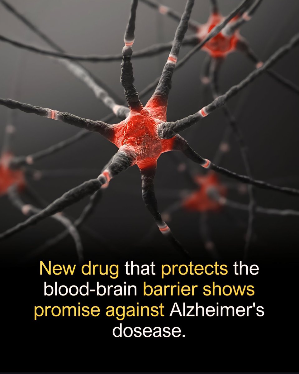 Learn_wit_Clara's tweet image. According to a 2025 study published in PNAS and reported by ScienceAlert, researchers at Case Western Reserve University developed a drug called SW033291 that protects the blood-brain barrier, a critical defense layer between the bloodstream and brain tissue.
Instead of…