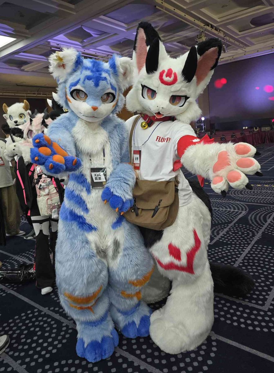 KailiFurry's tweet image. 퍼클 2-shots #fursuit #furry
I'm glad Furst Class gave me the opportunity to meet many Korean fursuiters I've only seen online