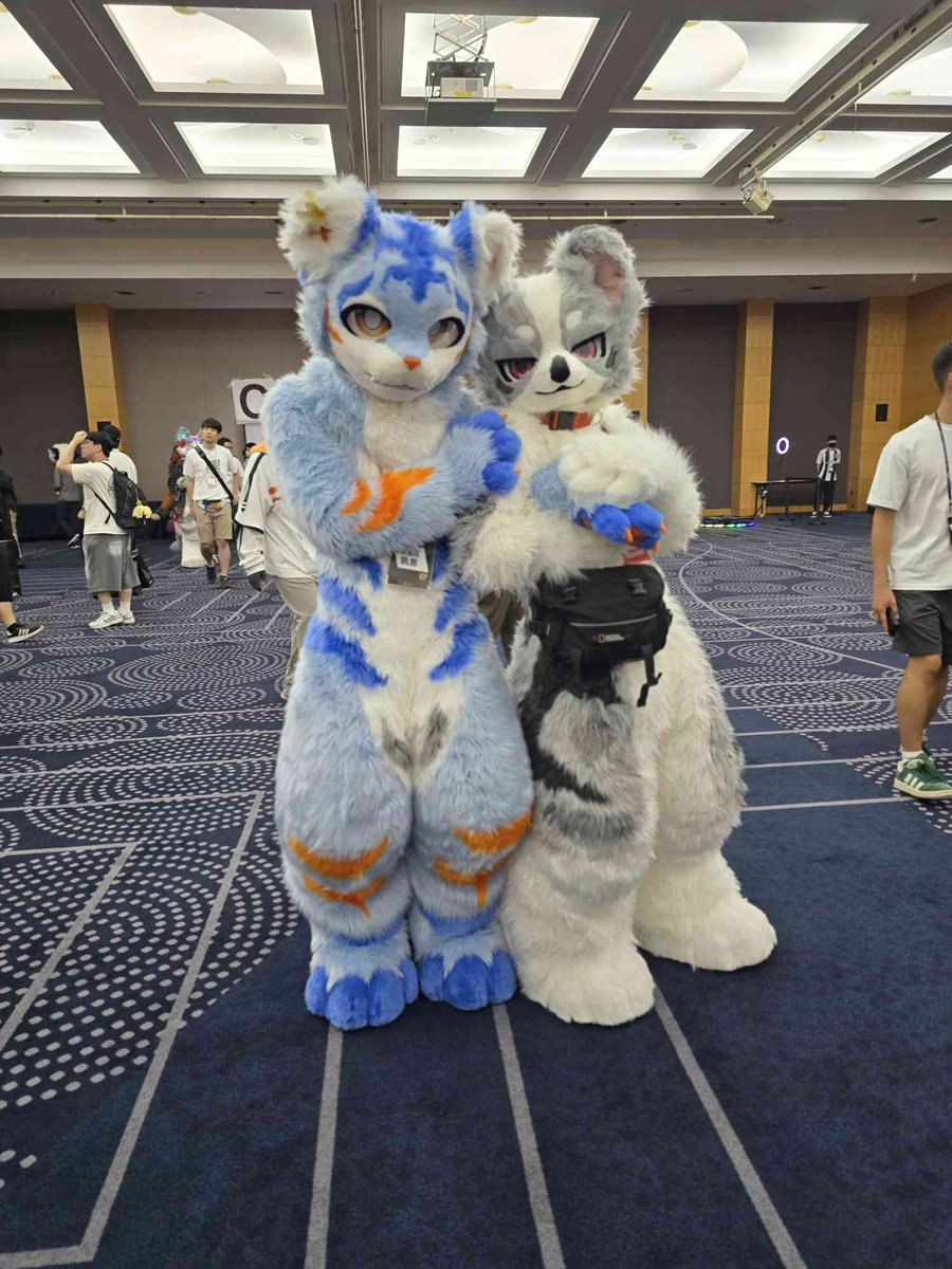 KailiFurry's tweet image. 퍼클 2-shots #fursuit #furry
I'm glad Furst Class gave me the opportunity to meet many Korean fursuiters I've only seen online