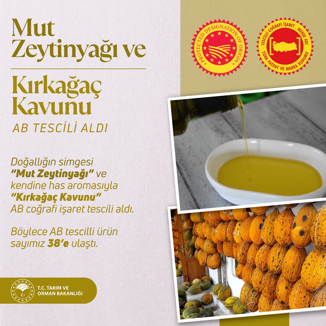 📢 Avrupa Birliği’nden çifte coğrafi işaret tescili.

✅ Mut Zeytinyağı
✅ Kırkağaç Kavunu
Artık sadece Türkiye’de değil, Avrupa’da da tescilli ve koruma altında.

Bu başarı; üreticimize, toprağımıza ve lezzetlerimize duyulan güvenin göstergesi.

Hayırlı olsun.