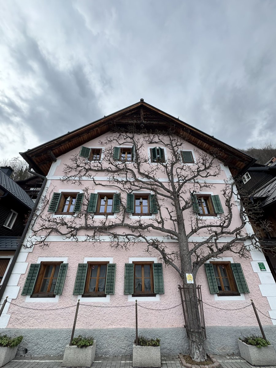 EtaCarinae_at's tweet image. 1/
چگونه رنگ ببازد سیاه خانه ی ما
بتاب در شب اکنون تو‌ ماه خانه ی ما
بناز گوشه ی چشمی که باز سجده کند
جهان به پای تو در قبله گاه خانه ی ما
زمینیان که به هر در زدند درماندند
ولی به پنجره افتاد راه خانه ی ما
به جبر قصه ی خود تا همیشه محکومیم
گرفت دامن آیینه آه خانه ی ما

#شعر #غزل