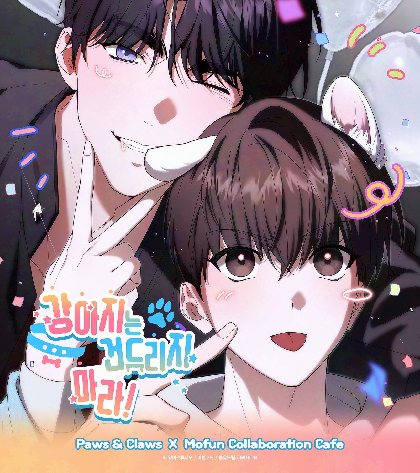 강아지는 건드리지 마라