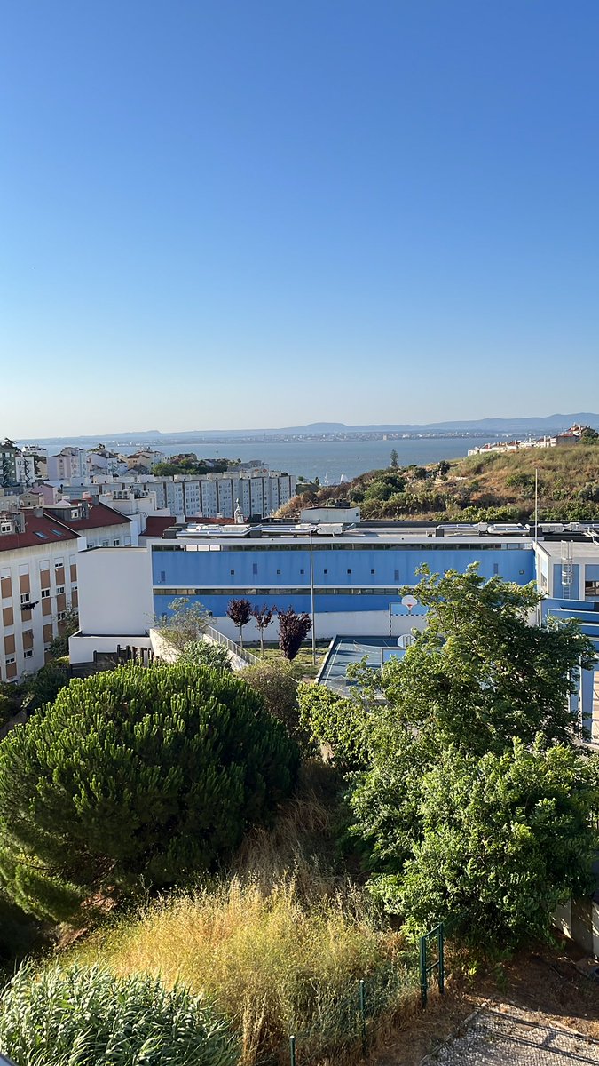 GM from Lisbon ☀️ have a sunny day