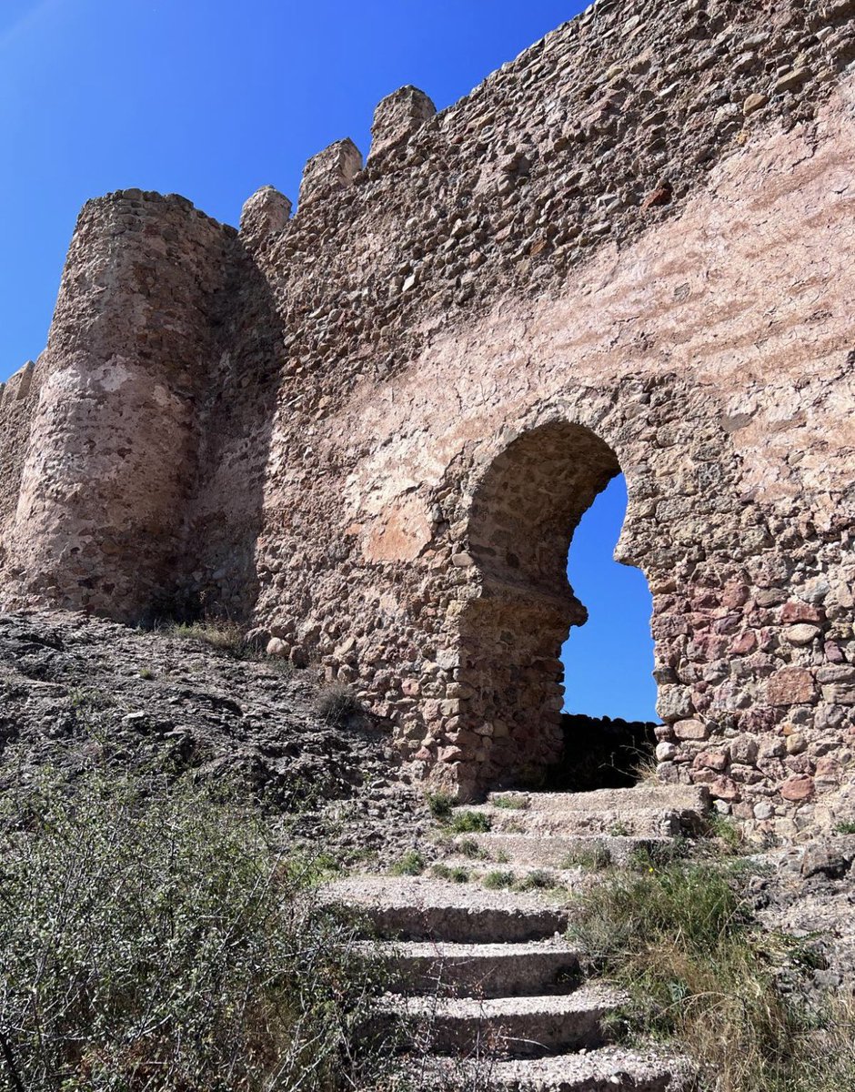 Margarita Torres tweet media