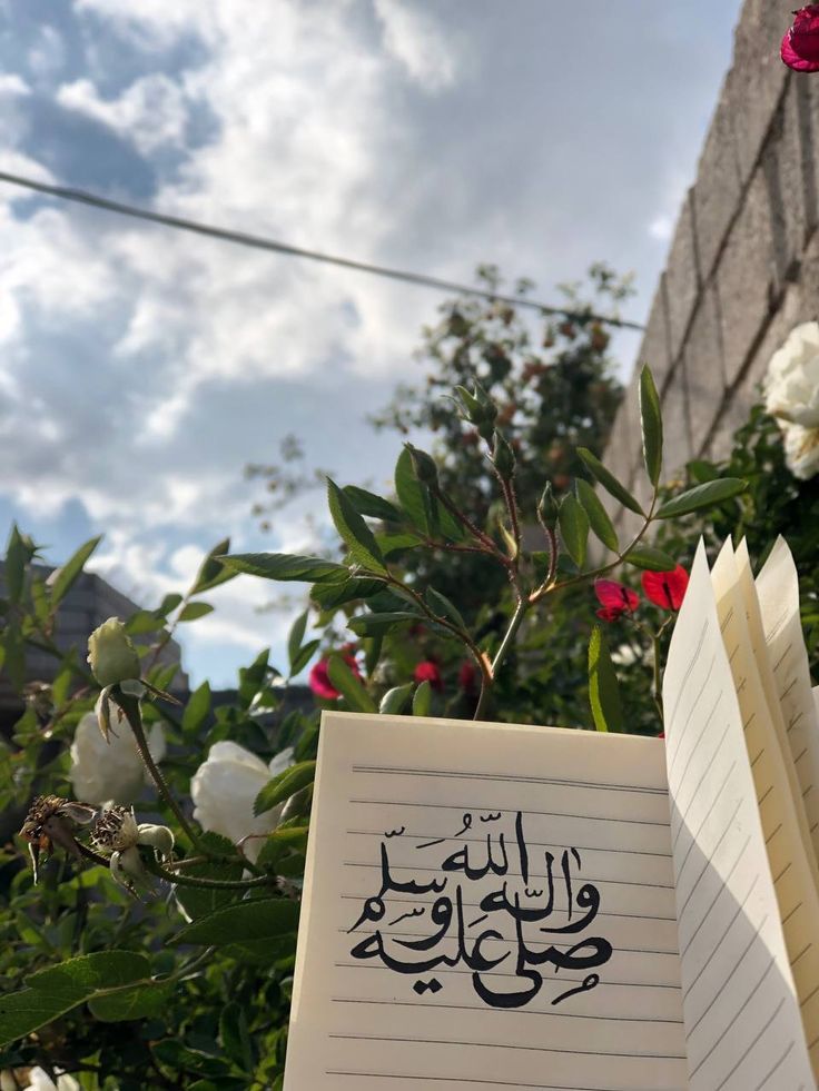 إنّ الصلاةَ على النبيِّ مُحَمَّدٍ تُرضي القلوبَ وتُذهبُ الأحزانا  اللَّهُــمَّ صـَلِّ وَسَـــلِّمْ علـى نَبِيِّنَـــا مُحمَّد ﷺ❤️
جمعه مباركه على الجميع 🌹
