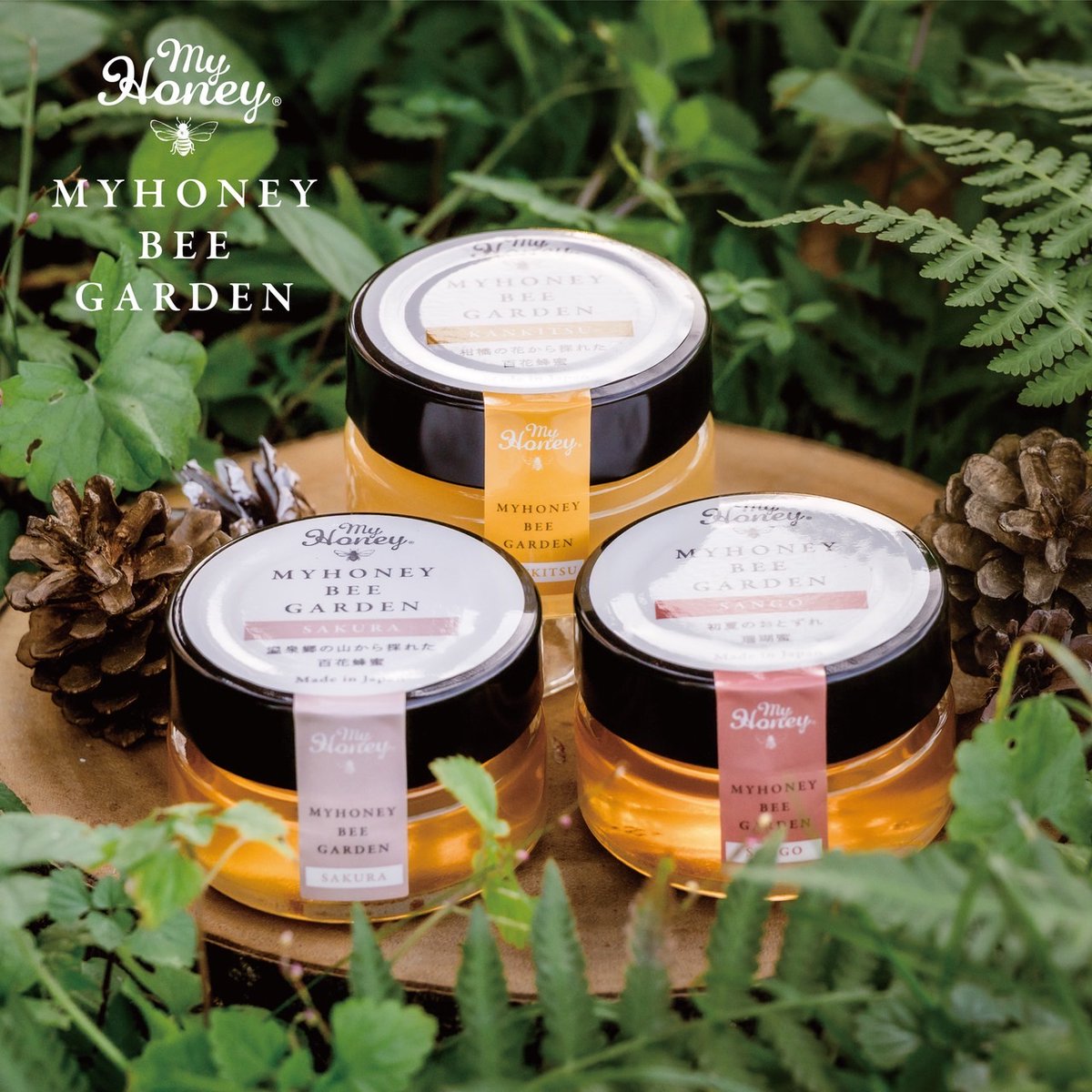 MYHONEY マイハニー (@MyHoneyJapan) / X