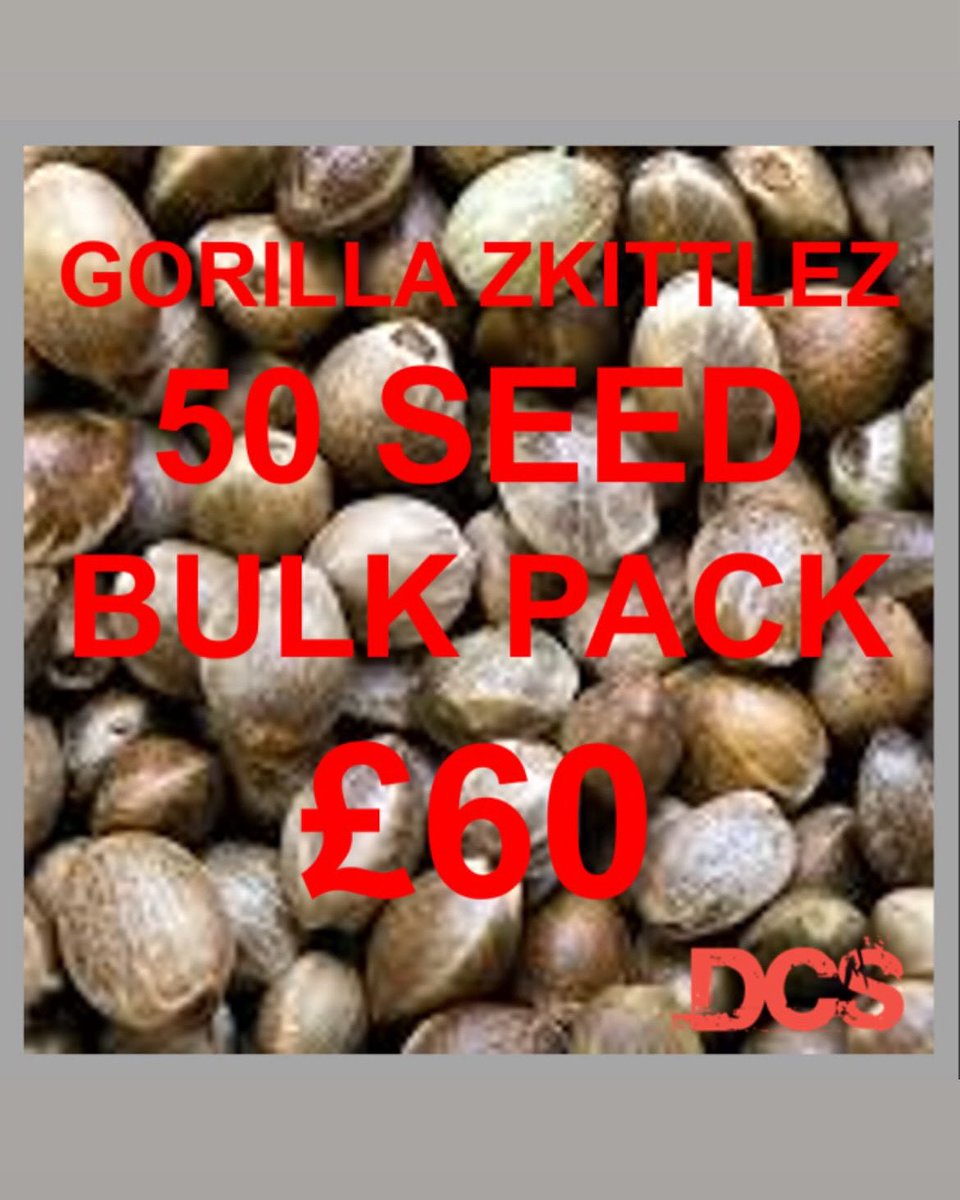 SeedsDiscount's tweet image. 💸 Payday has landed!
Treat yourself to top strains, big bundles, and unbeatable value.
Over 3,500 options in stock — including your favourites.
🔥 30 seeds for £60
🚀 Fast, discreet worldwide delivery
🧬 Auto & fem packs ready to go
🎯 Lowest prices around