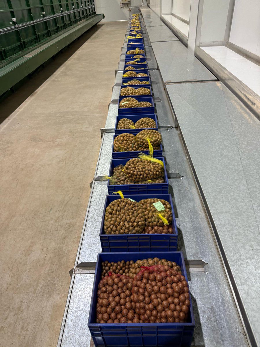 Jenny Chapman (@jennychapman) on Twitter photo Ahead of #G20SouthAfrica Development Meeting, I saw how <a href="/BritishIntInv/">British International Investment</a> has helped macadamia nut producer Agristar expand - supporting jobs & stocking British shops.
Growth is central to our new approach to development. Ahead of #G20SouthAfrica Development Meeting, I saw how <a href="/BritishIntInv/">British International Investment</a> has helped macadamia nut producer Agristar expand - supporting jobs & stocking British shops.
Growth is central to our new approach to development.