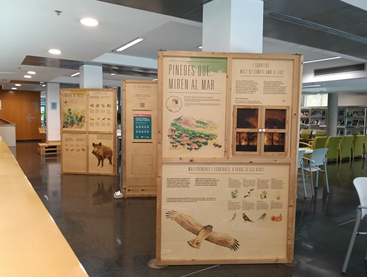 xarxadeparcs's tweet image. ✅L'exposició sobre el Parc de la Serralada de Marina s'instal·la fins al 7 de setembre al Centre de Documentació del Parc, a la Biblioteca Municipal Elisenda de Montcada
ℹ️ parcs.diba.cat/ca/web/l-infor…