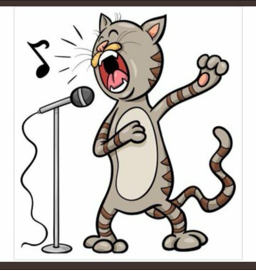 a_iylarr's tweet image. ye ye ye ye ye yooooooooooooo, your my everythingggggggg