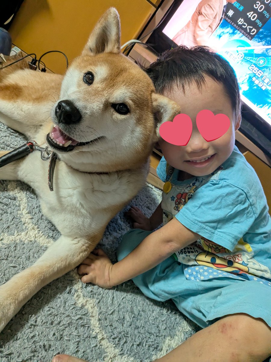だいすきー🐶♥

#柴犬