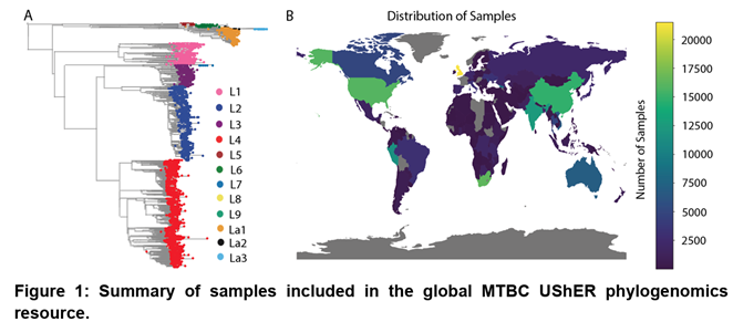 Iñaki Comas tweet media