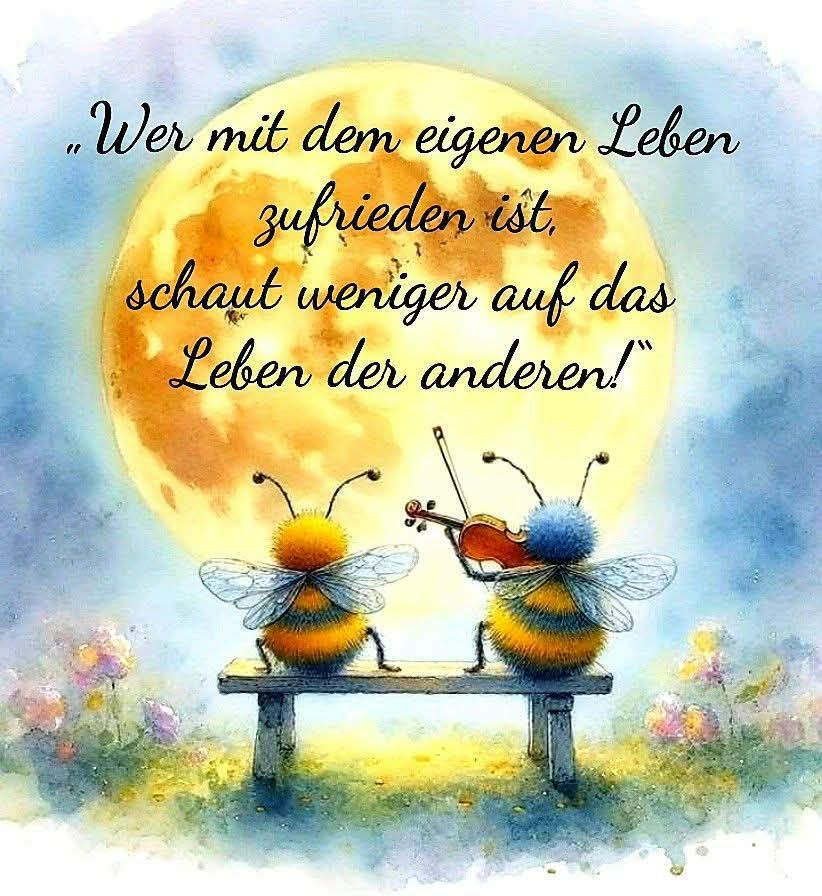 ThomasK1145905's tweet image. 👇👇👇
#Netzfund