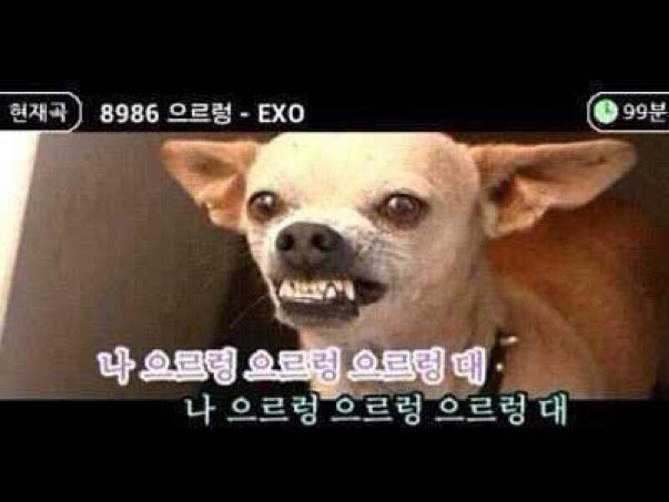 parc__1's tweet image. 아니 금요일이라고??
나 왜 오늘 목요일이라고 생각했지????
왜 설레지 않는거지??????????
왜 안온하고 너그러워지지 않는 것이지?
으르렁으르렁으르렁으르렁대
으르렁으르렁으르렁으르렁대
