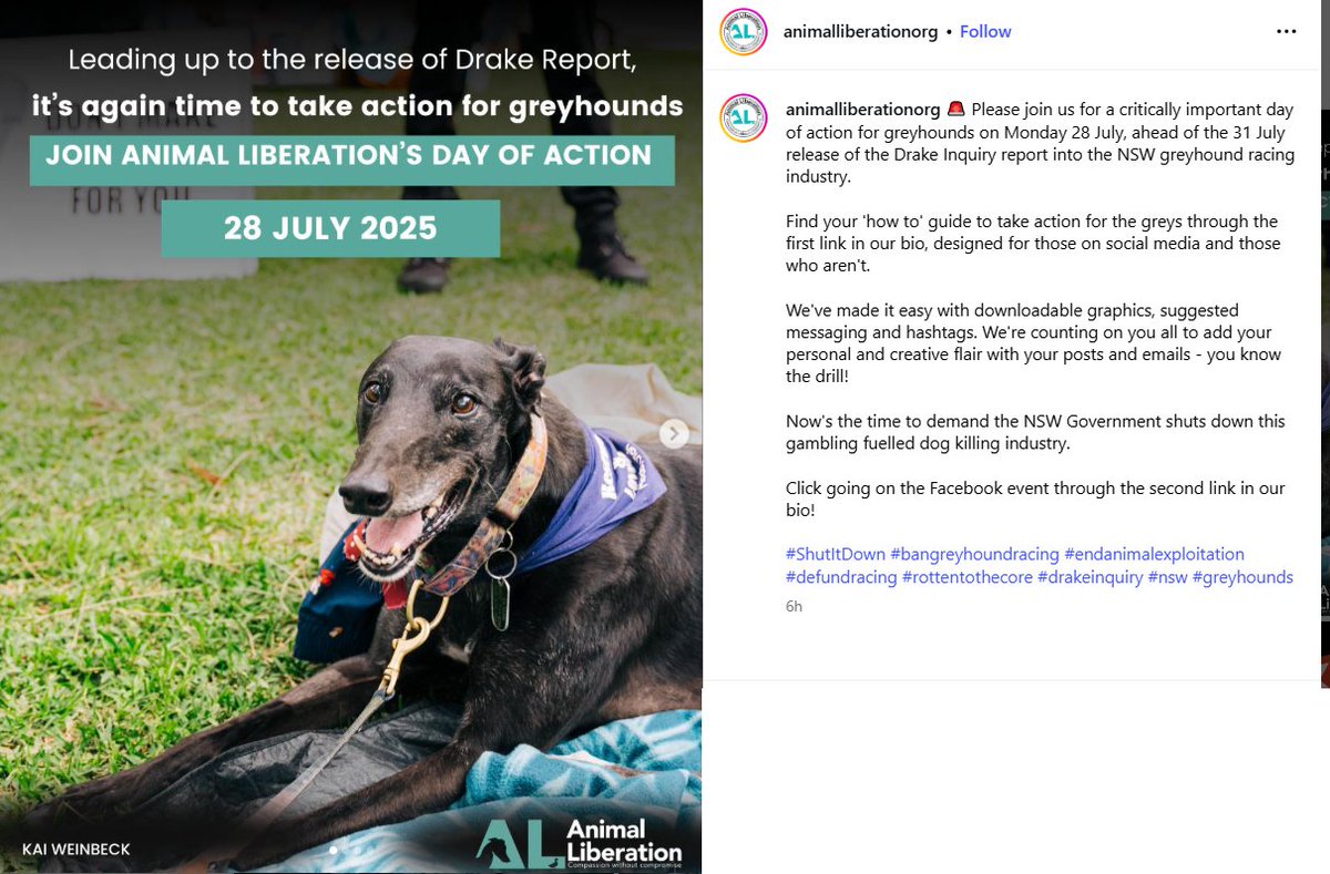 susanamet's tweet image. "Now's the time to demand the NSW Government shuts down this gambling fuelled dog killing industry: - Animal Liberation
#bangreyhoundracing
instagram.com/p/DMgwCBshQkr/…