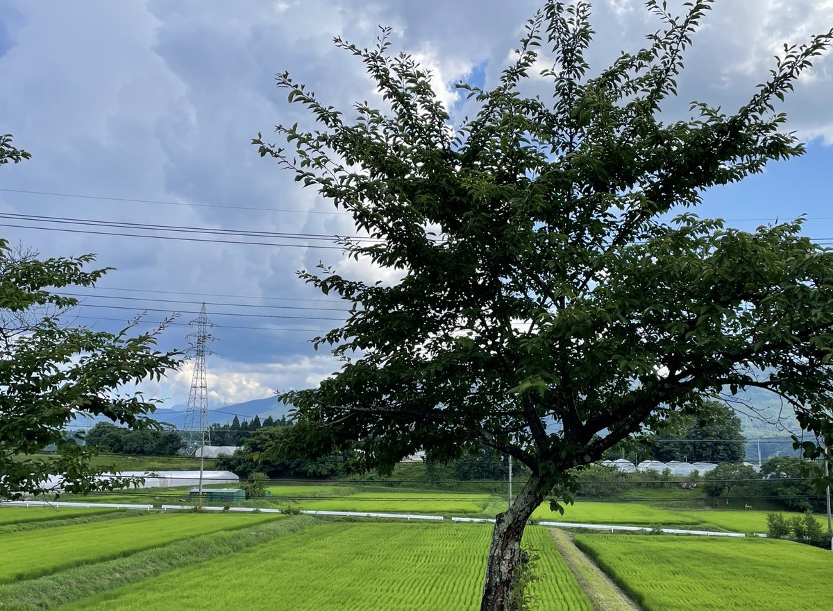 sorapichi39's tweet image. 今日は先週行く予定が今日に変更になった長野に出張です🚙
時間余裕みて出発して、お昼に美味しいもの食べようと思ってたら、中央道の渋滞が酷く、結局お昼ご飯食べれませんでした💦
お腹空いたのでコンビニでメロンパン食べてこれから帰ります
長野日帰りは大変です