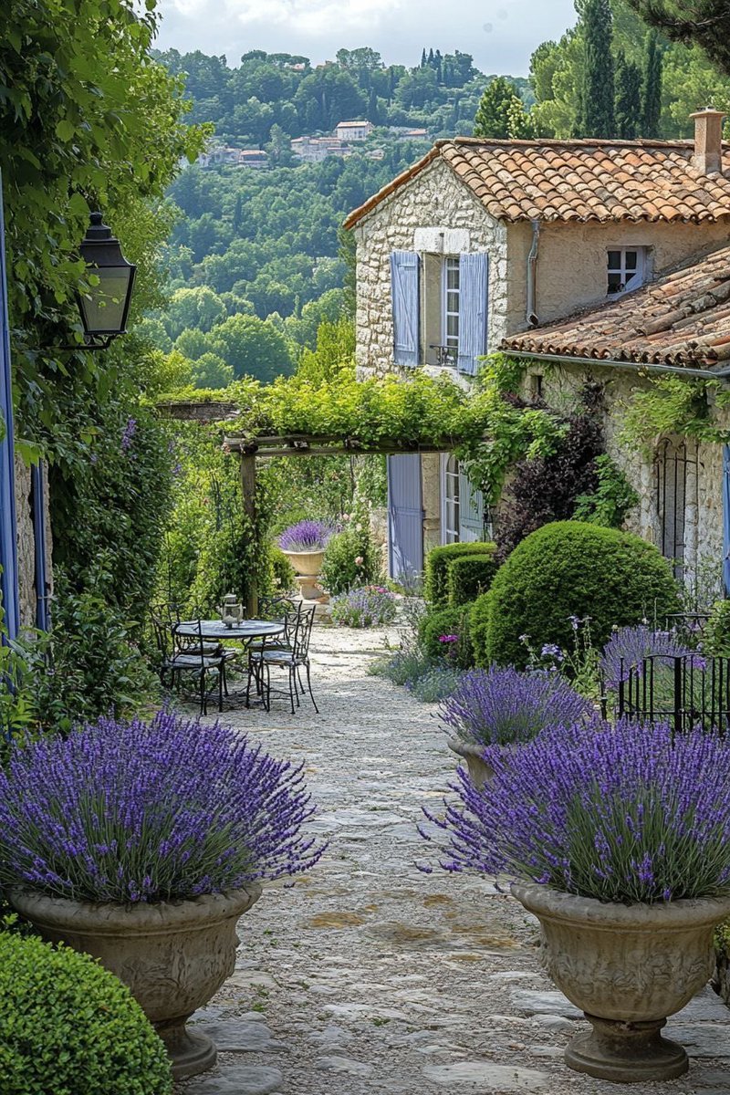 #Provence 
       🪻🍃🪻🍃🪻