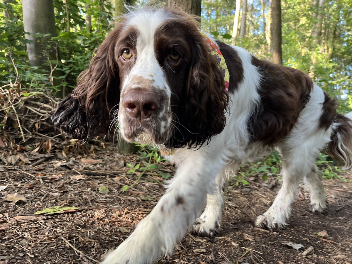 Morning Pals, Happy Friday

Been for my bimble with D, looks like a lovely day weather wise

M &amp; D have a doing jobs around the house &amp; garden day, think more garden today. 

How are you? Sending love &amp; strength to friends having a challenging week