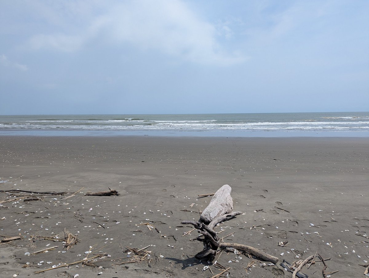 久違的海邊曬太陽
踩踩水也舒服