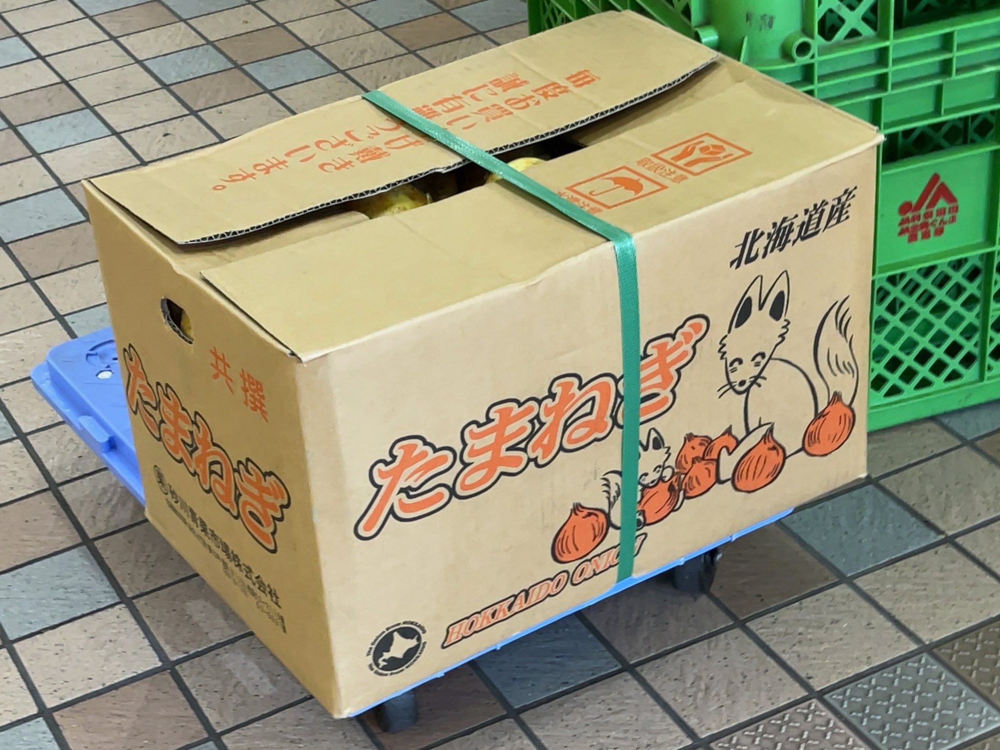 たまきち(おまとめ等々ご相談くださいね) どんどんおねだりが過激になっていく「たまごっち」を育てた