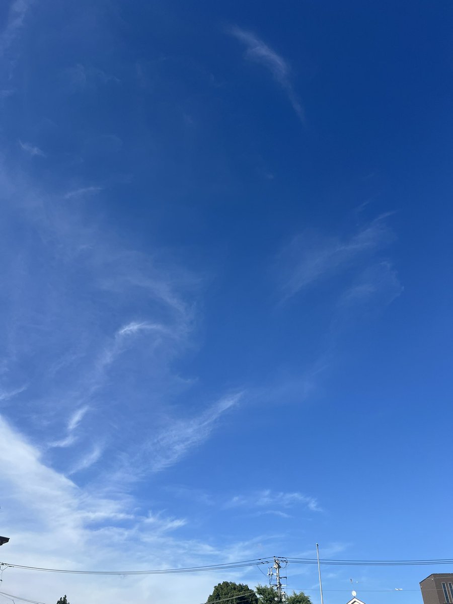 tanac2e's tweet image. 空だけこうやって切り取ると、
スカッと真夏〜って爽やかな印象持ってしまうが、
心地よいわけでなく、
ひたすら暑い🥵暑い🥵
年齢重ねるとメチャキツいわ。