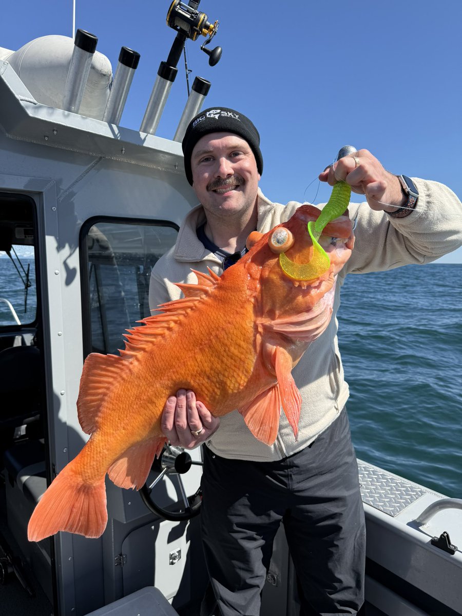 thejohnkerr's tweet image. One more update for The Late Show fam… 🎣 #Alaska 🏔️