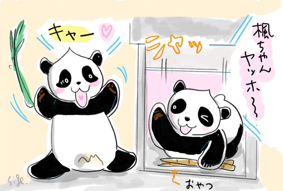 Pandaexn's tweet image. たぶん、推しがあの扉からやって来るんだな🐼🍁🐼🎀✨

#楓浜 #結浜