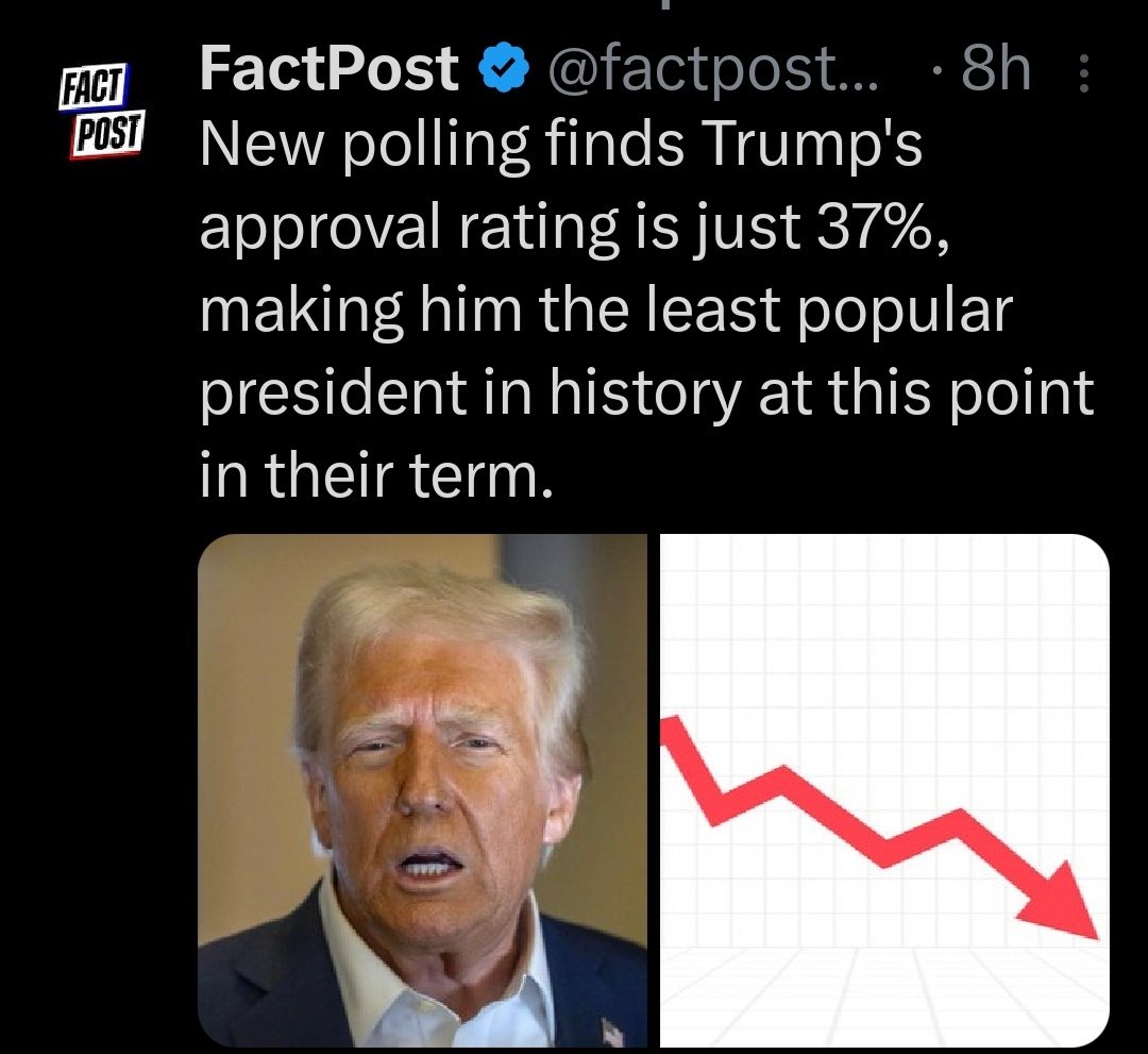 BerdejoVictor's tweet image. TRUMP de acuerdo a su propio criterio ya esta camino a convertirse en un dictador, malo para los negocios, malo para gobernar, malo para toda la humanidad 🤷♂️🤷♂️🤷♂️