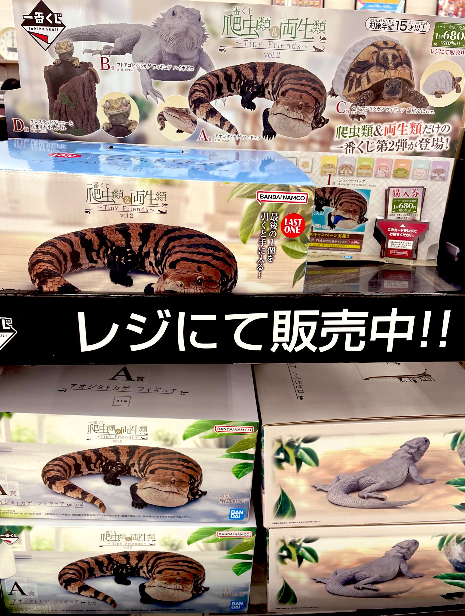 一番くじ爬虫類&両生類〜Tiny Friends〜vol.2 13点セット 一番くじ 爬虫類＆両生類～Tiny Friends～vol.2｜一番くじ倶楽部