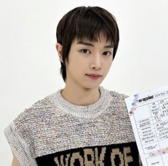 brody bibi tweet media