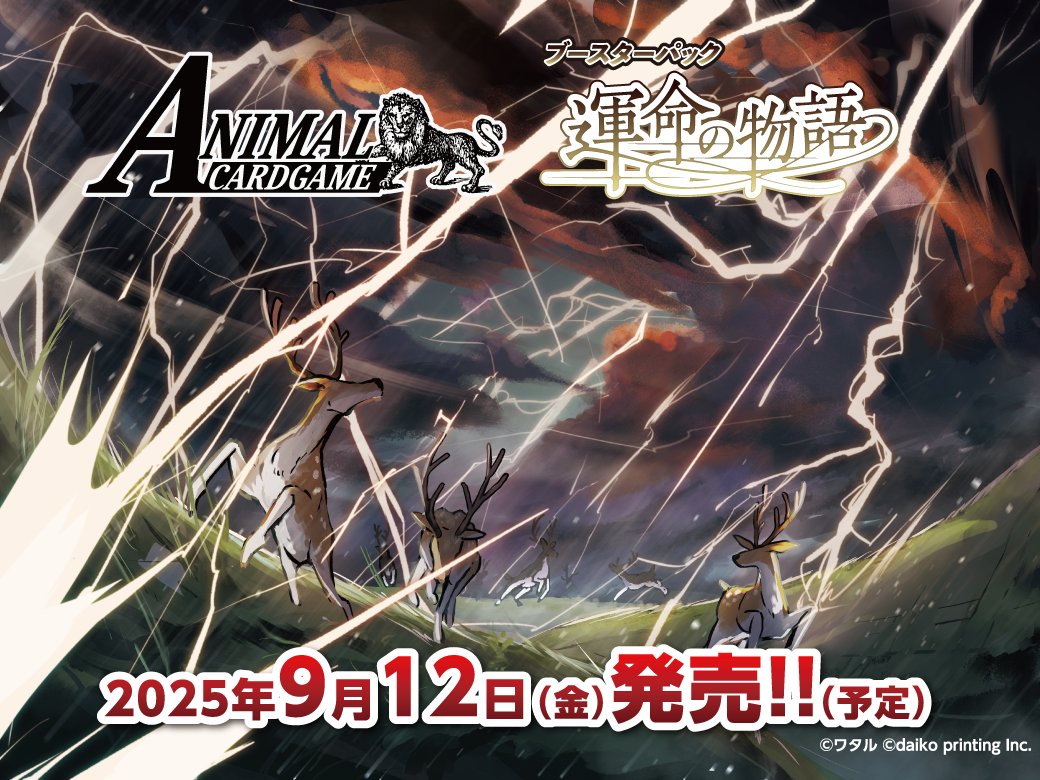 アニマルカードゲーム コンプリートセット ノーマルのみ 4コン acg 公式】アニマルカードゲーム【第2弾デッキ&ブースターパック