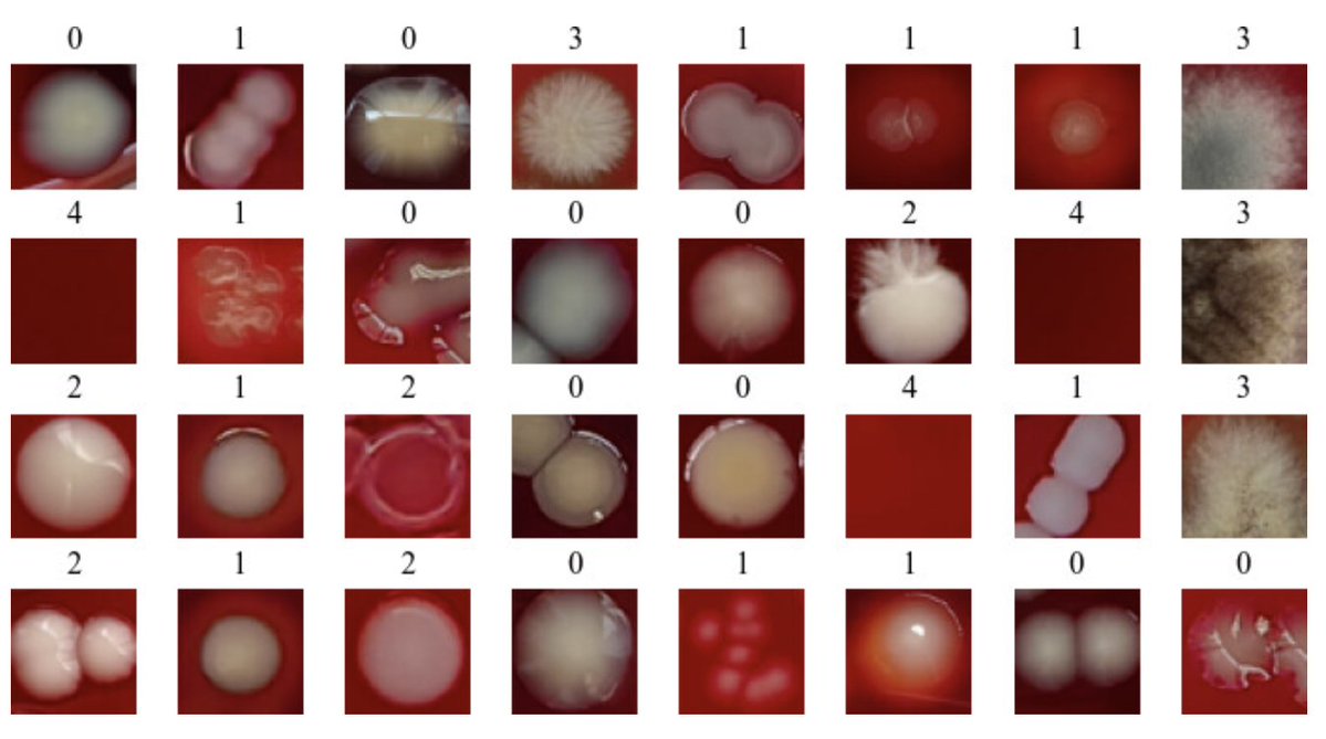 Implementation of convolutional neural networks for microbial colony recognition

"deep learning for microbial colony recognition to identify unknown strains"
journals.asm.org/doi/full/10.11…