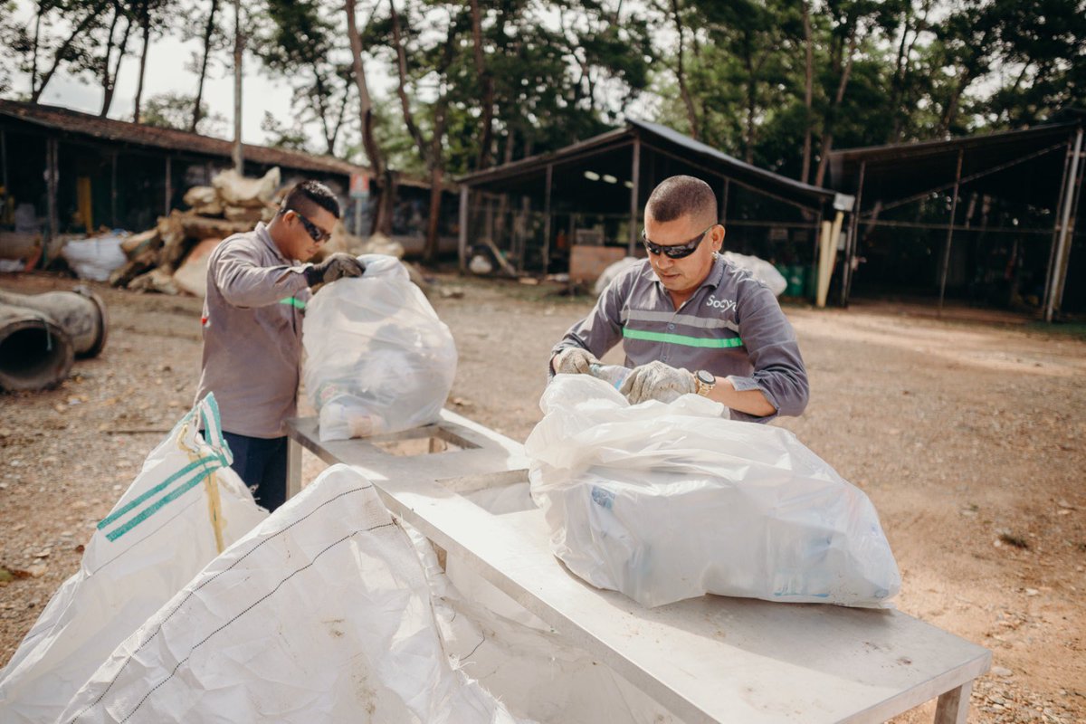 Celebramos los 65 años de @SocyaColombia, un aliado clave transformación del Bajo Cauca.
Desde @MinerosSA hemos compartido proyectos que conservan ecosistemas, promueven educación ambiental y fortalecen vínculo comunitario.
¡Feliz aniversario! 
#MineríaConPropósito #65AñosSocya