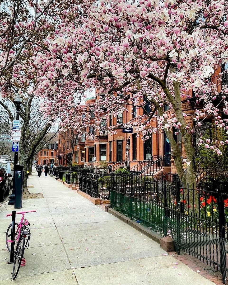 Good Morning 
Have a Nice Day 

(Boston-USA,📷 Pinterest)